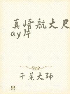 真崎航大尺度gay片