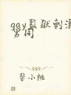 gay监狱刺激男同