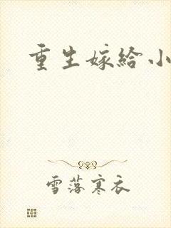重生嫁给小叔子