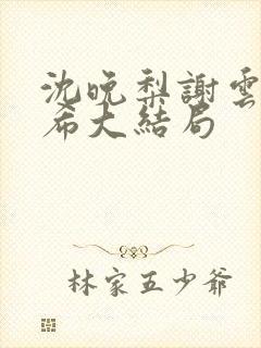 沈晚梨谢云迟叶希大结局封面