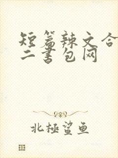 短篇辣文合集第二书包网