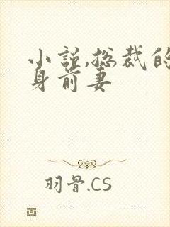 小说,总裁的替身前妻封面
