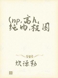 (np,高h,纯肉,校园封面