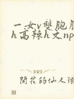 一女v双胞胎巨h高辣h文np