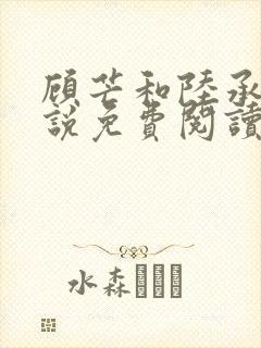 顾芒和陆承洲小说免费阅读