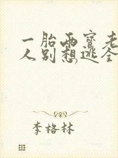 一胎两宝老婆大人别想逃全文免费阅读全文