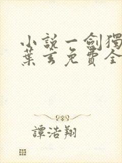 小说一剑独尊·叶玄免费全文阅读一