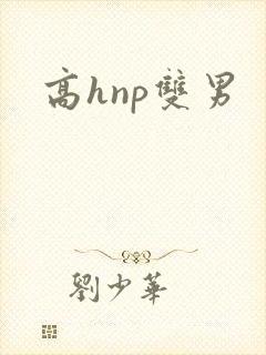 高hnp双男