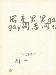 国产男男gaygay同志网站