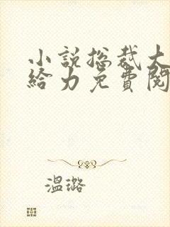 小说总裁大人超给力免费阅读