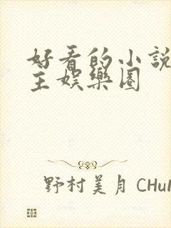 好看的小说双男主娱乐圈
