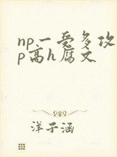 np一受多攻np高h腐文