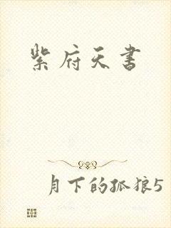 紫府天书