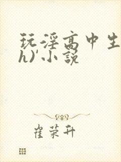 玩淫高中生(高h)'小说封面