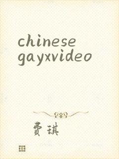 chinesegayxvideo封面