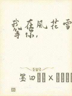我在风花雪月里等你,封面