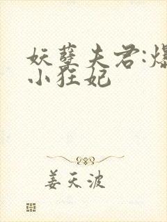 妖孽夫君:爆宠小狂妃