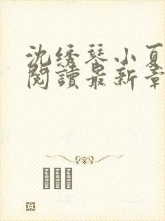 沈绣琴小夏全文阅读最新章节封面