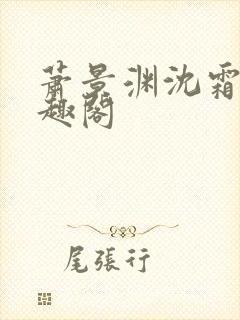 萧景渊沈霜宁笔趣阁封面
