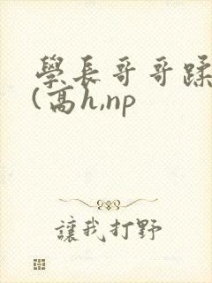 学长哥哥蹂躏你(高h,np封面
