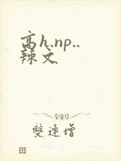 高h.np..辣文