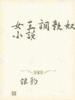女王调教奴隶的小说封面