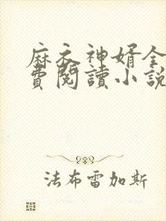 麻衣神婿全文免费阅读小说封面