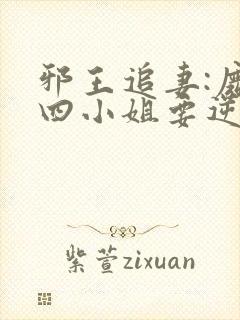 邪王追妻:废柴四小姐要逆天