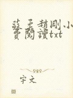苏柔赵刚小说免费阅读txt封面