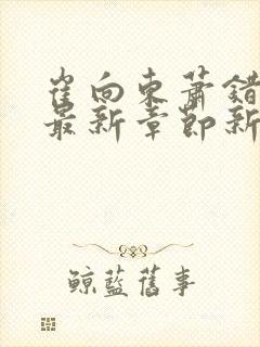 崔向东萧错小说最新章节新笔趣阁封面