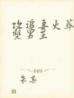 攻追妻火葬场的双男主