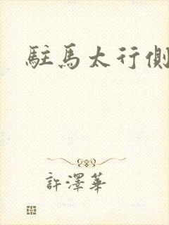 驻马太行侧封面