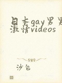日本gay男男激情videos