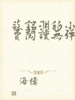 苏铭渊的小说免费阅读无弹窗