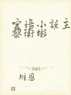 官场小说主角叫黎卫彬