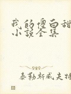 我的傻白甜老婆小说全集封面