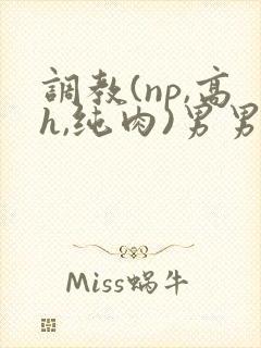 调教(np,高h,纯肉)男男封面