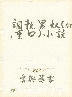调教男奴(sm,重口)小说