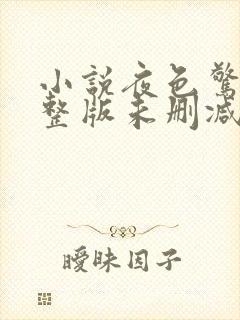 小说夜色惊人完整版未删减小说