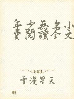 年少无名小说免费阅读全文