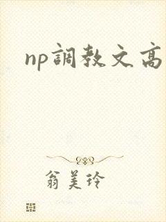 np调教文高h