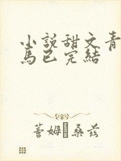 小说甜文青梅竹马已完结封面