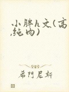 小胖h文(高h,纯肉)