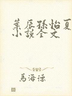 叶辰孙怡夏若雪小说全文