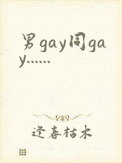 男gay同gay......