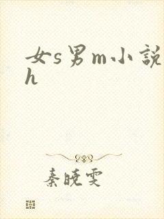 女s男m小说高h封面