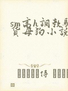 sm高h调教骚货母狗小说