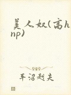 美人奴(高h,np)
