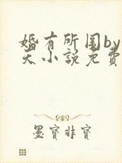 婚有所图by趁天小说免费阅读