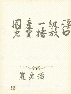 国产一级淫片a免费播放口